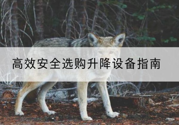 陵川升降货梯厂家推荐-*安全选购升降设备指南