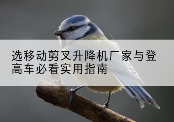 陵川电动升降机厂家-选移动剪叉升降机厂家与登高车必看实用指南